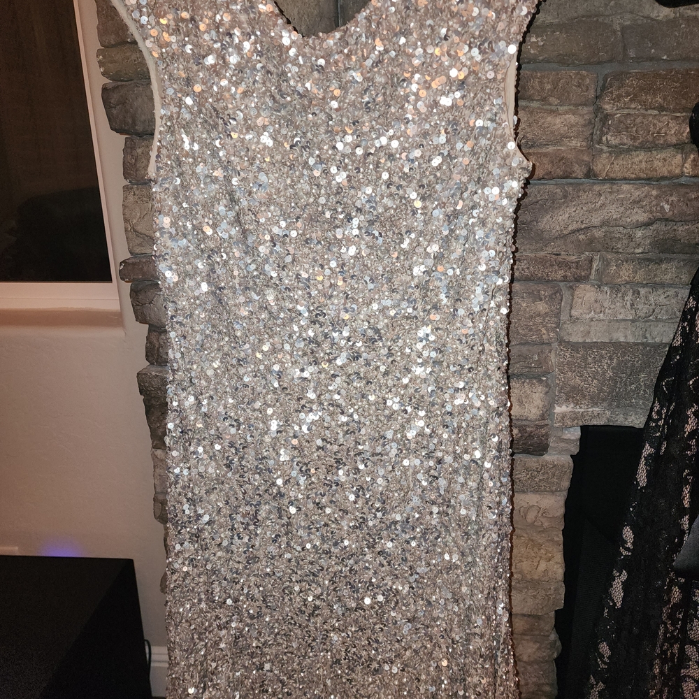 Theia Elegant Beige and Silver Dress
